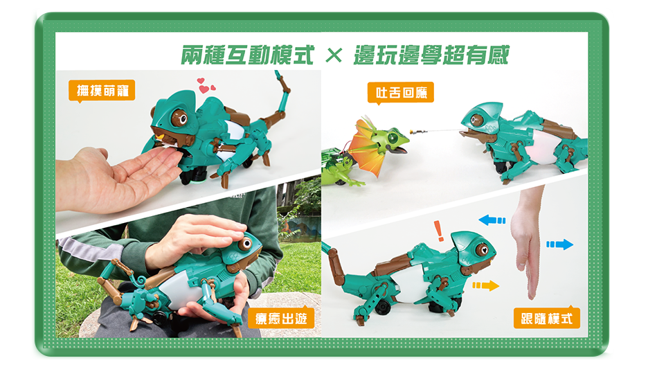 兩種互動模式 × 邊玩邊學超有感