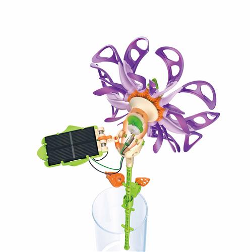 ProsKit寶工太陽能永生花